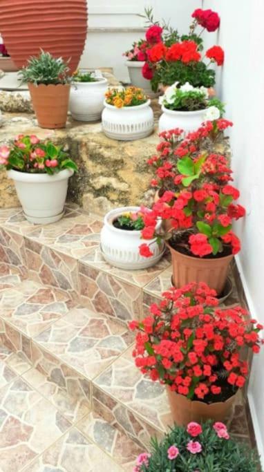 Newly Reconstructed Flat 107Sqm! Chrissi Akti Chania Exterior foto