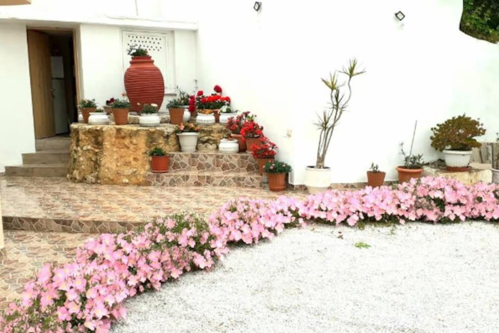 Newly Reconstructed Flat 107Sqm! Chrissi Akti Chania Exterior foto